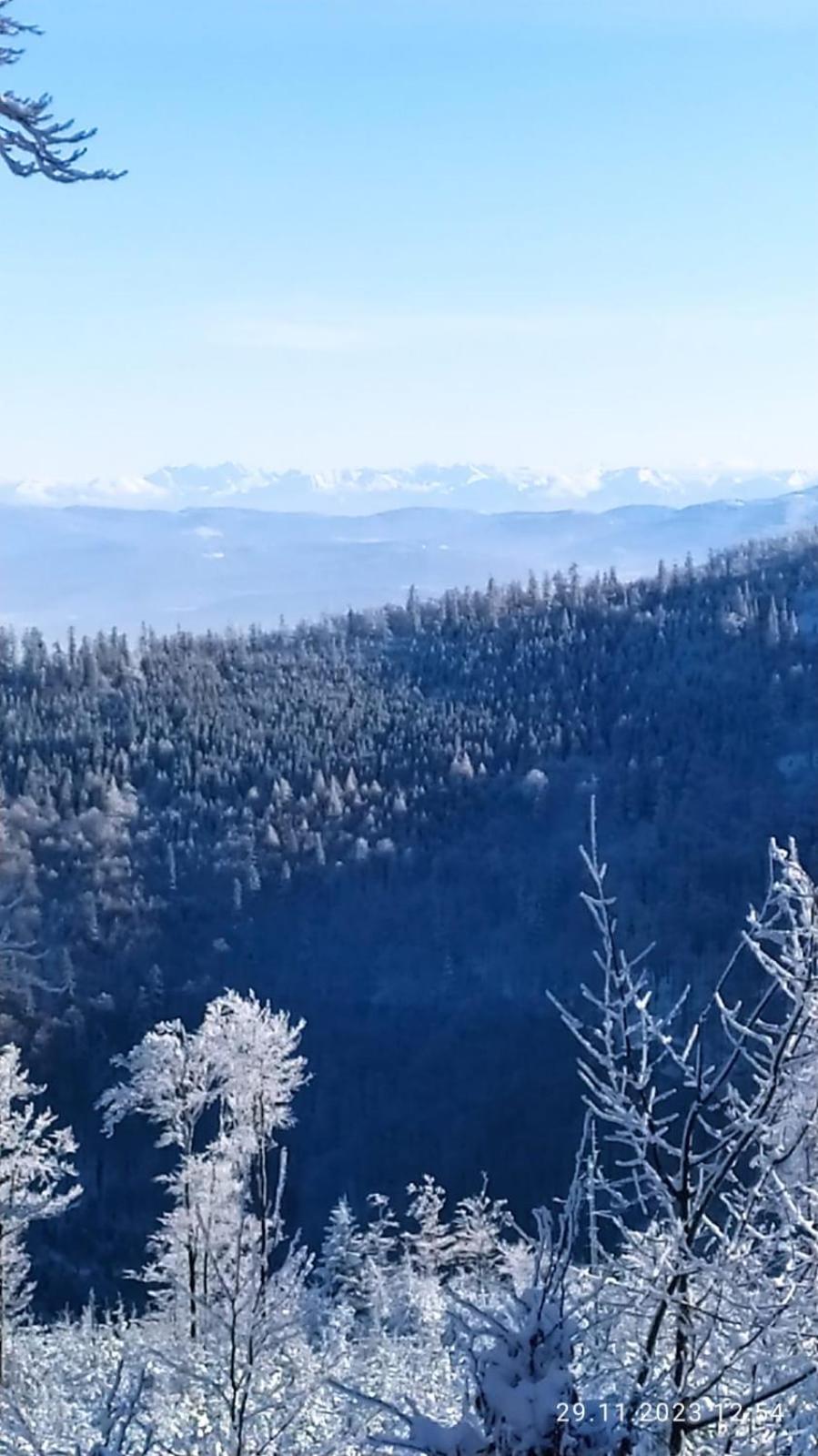 Dom Wypoczynkowy Pod Polanka Korbielów Buitenkant foto