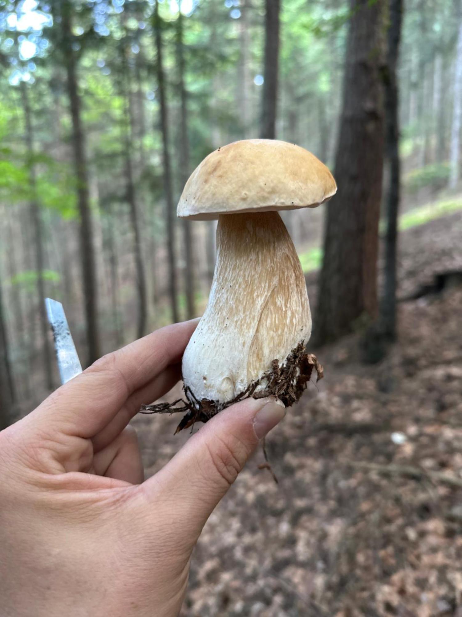 Dom Wypoczynkowy Pod Polanka Korbielów Buitenkant foto