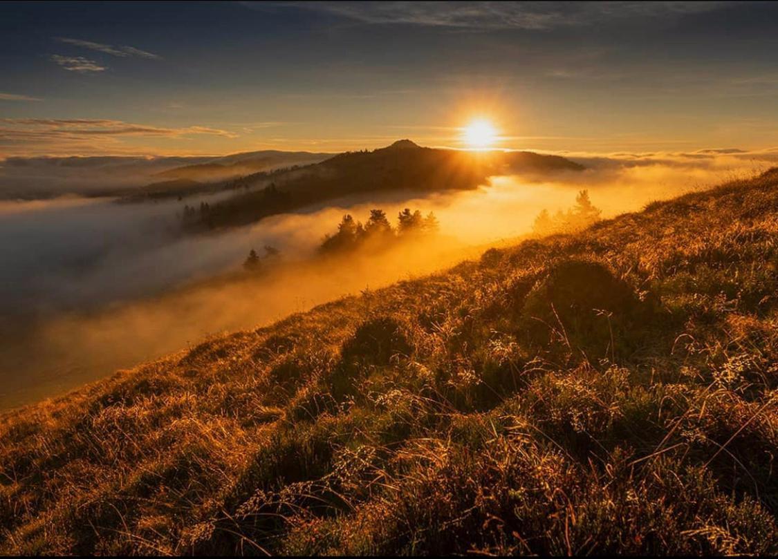 Dom Wypoczynkowy Pod Polanka Korbielów Buitenkant foto
