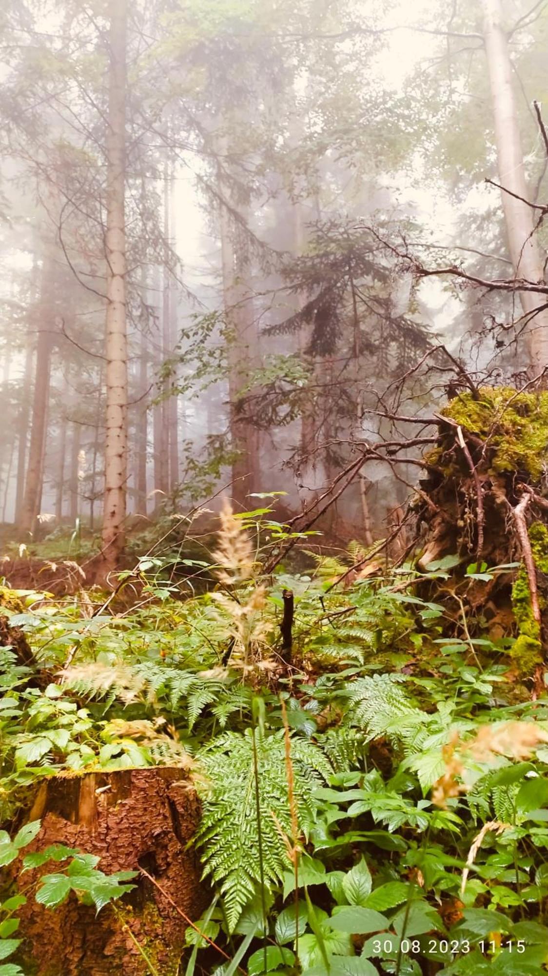 Dom Wypoczynkowy Pod Polanka Korbielów Buitenkant foto