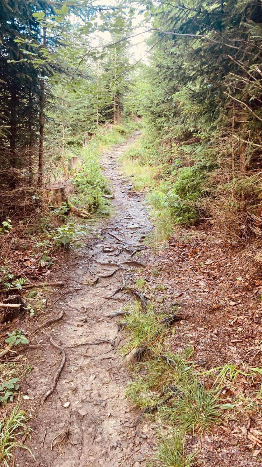Dom Wypoczynkowy Pod Polanka Korbielów Buitenkant foto